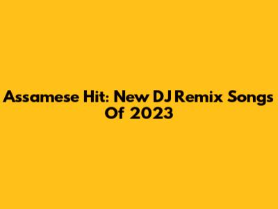 Assamese Hit: New DJ Remix Songs Of 2023