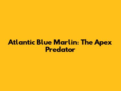 Atlantic Blue Marlin: The Apex Predator