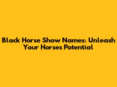 Black Horse Show Names: Unleash Your Horse's Potential