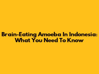 Brain-Eating Amoeba In Indonesia: What You Need To Know
