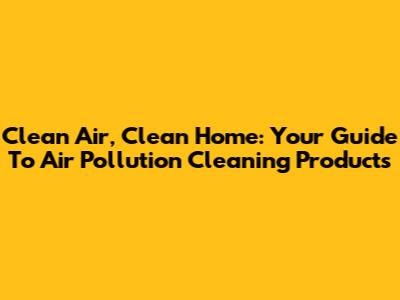Clean Air, Clean Home: Your Guide To Air Pollution Cleaning Products