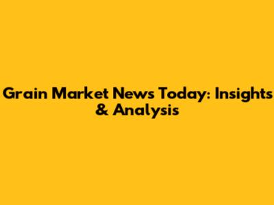 Grain Market News Today: Insights & Analysis