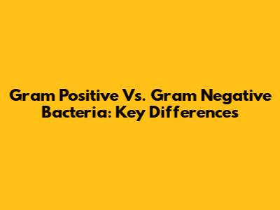 Gram Positive Vs. Gram Negative Bacteria: Key Differences