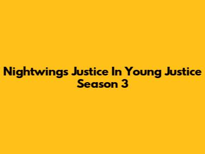 Nightwing's Justice In Young Justice Season 3