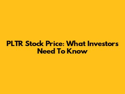 PLTR Stock Price: What Investors Need To Know