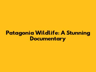 Patagonia Wildlife: A Stunning Documentary