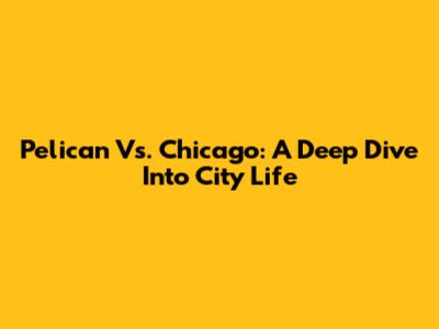 Pelican Vs. Chicago: A Deep Dive Into City Life