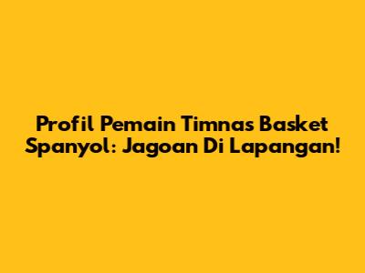 Profil Pemain Timnas Basket Spanyol: Jagoan Di Lapangan!