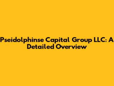 Pseidolphinse Capital Group LLC: A Detailed Overview
