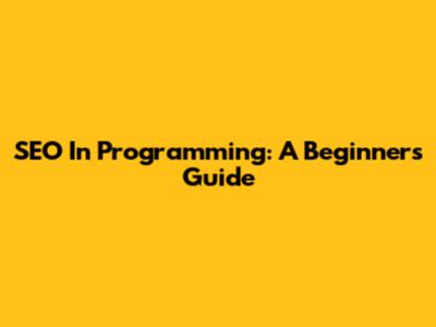 SEO In Programming: A Beginner's Guide