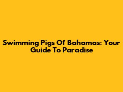 Swimming Pigs Of Bahamas: Your Guide To Paradise