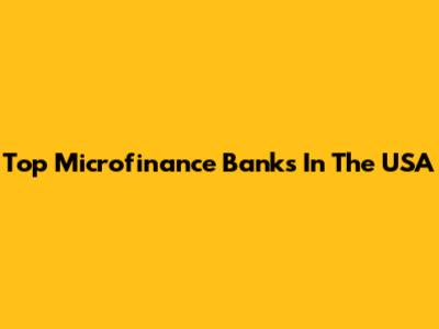 Top Microfinance Banks In The USA