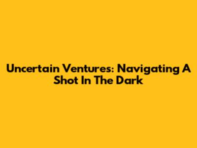 Uncertain Ventures: Navigating A Shot In The Dark