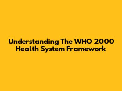 Understanding The WHO 2000 Health System Framework