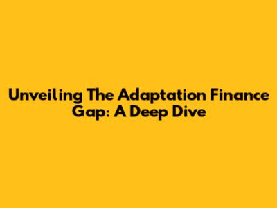 Unveiling The Adaptation Finance Gap: A Deep Dive