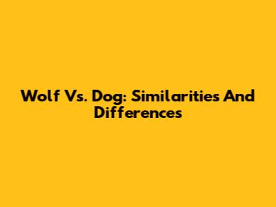 Wolf Vs. Dog: Similarities And Differences