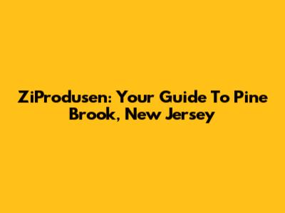 ZiProdusen: Your Guide To Pine Brook, New Jersey